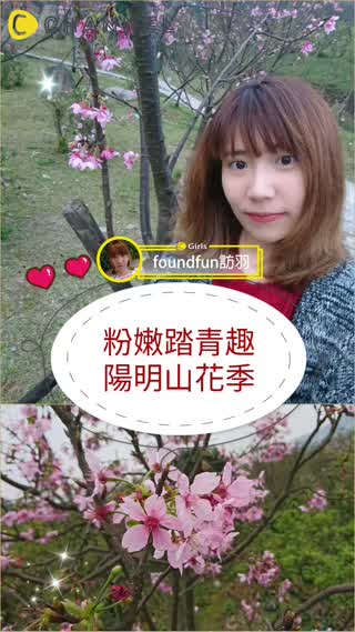 陽明山花季踏青趣