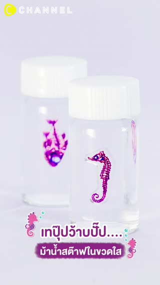 เทปุ๊ปว้าบปั๊ป…. ม้าน้ำสต๊าฟในขวดใส