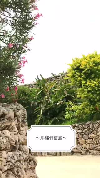 〜沖縄竹富島旅行記〜