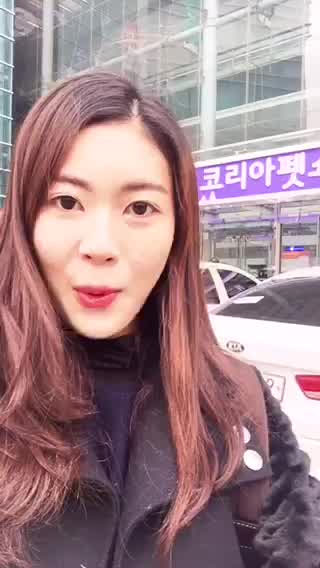 Introducing Korean Pet Show!