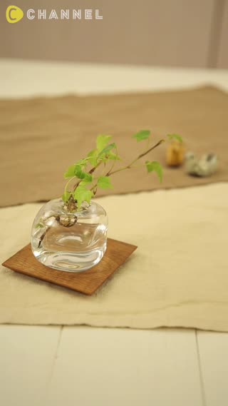 ทำความสะอาดขวดใบจิ๋วให้กลับมาใสวิ้งค์