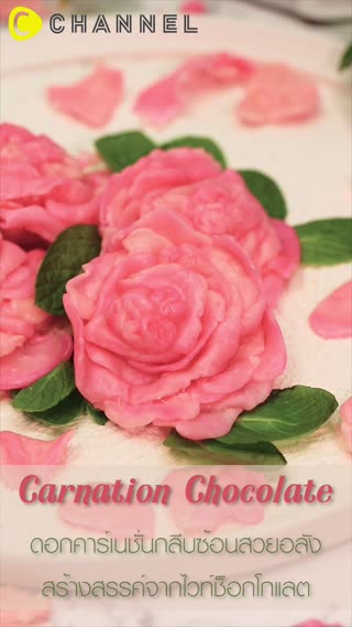 ดอกคาร์เนชั่นกลีบซ้อนจากไวท์ช็อกโกแลต