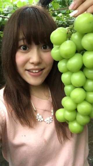 秋の味覚狩り♡山梨県の勝沼グレパークで時間無制限・取り放題・食べ放題ぶどう狩り！