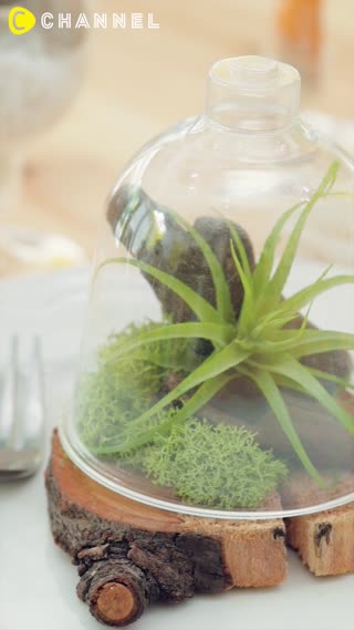 フェイクグリーンで夜カフェ風プチプラインテリア