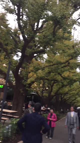 Shake Shack has come to Japan