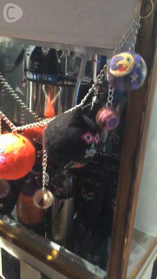 Anna Yano 【Beauty Experience】exhibition 