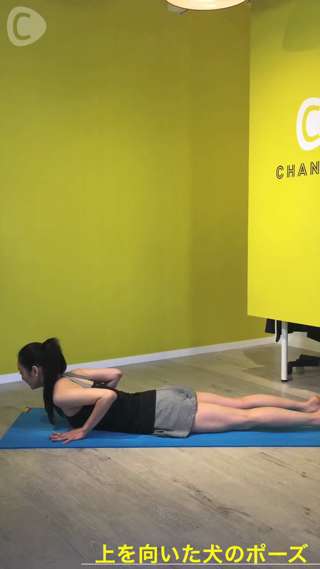 ワンポイントヨガ☆二の腕を鍛える上を向いた犬のポーズ