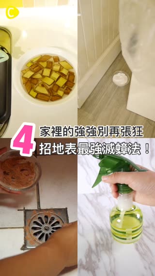 家裡的強強別再猖狂 4招地表最強滅蟑法！