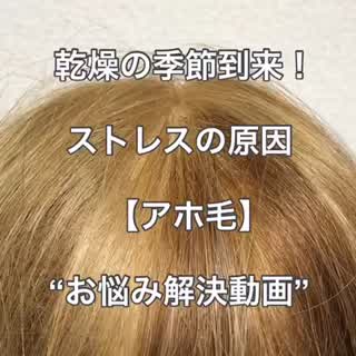 アホ毛対策どうしてますか？