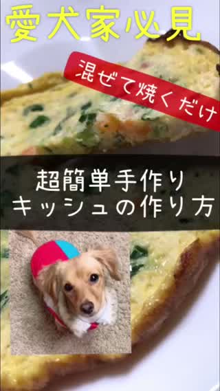 愛犬家必見！超簡単手作りキッシュの作り方
