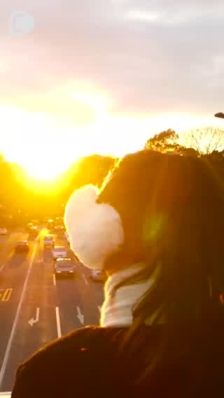 定番や復刻版などラインナップが豊富！新作ライフスタイルシリーズ♪