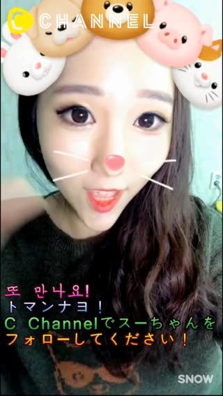 【韓国語講座】韓国語で動物の名前を覚えましょう