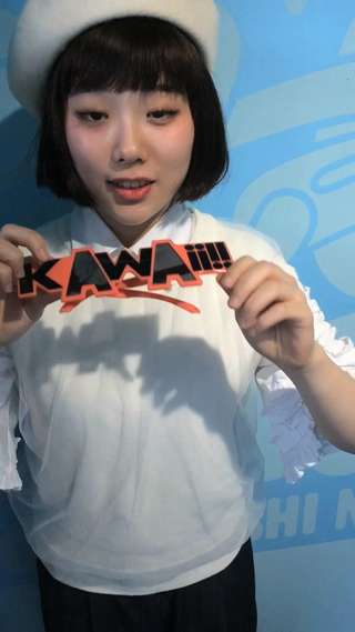 大好きなにっぽんモチーフのグッズ！