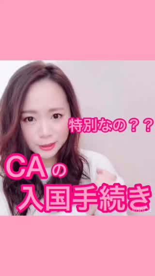 意外と知らない？CA✈︎の入国手続き