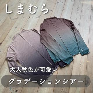 【しまむら】大人秋色が可愛い♡グラデーションシアー