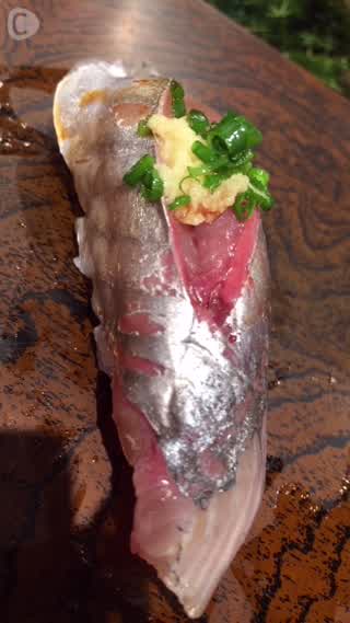 築地でお寿司を堪能♪