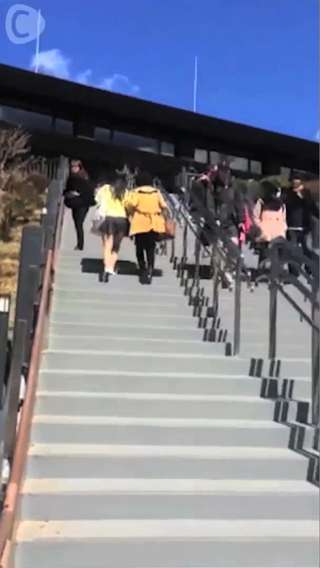 箱根の山をロープウェイで♪