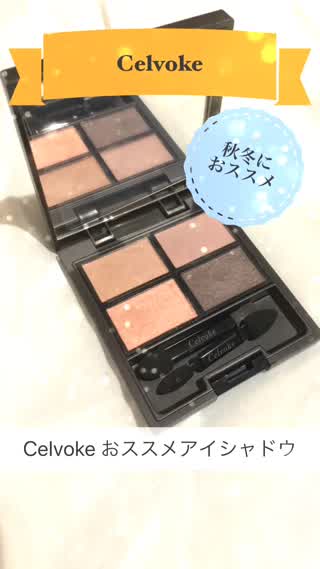 セルヴォーク ヴォランタリー アイパレット  07