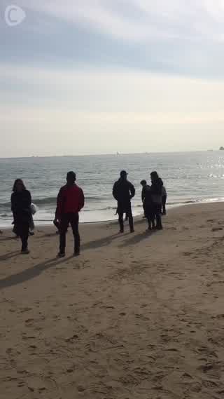 Busan's specialty!! Must try Milmyun.