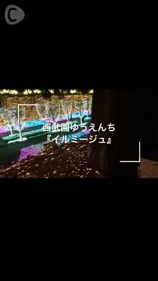西武園ゆうえんちの『イルミージュ』がすごい！