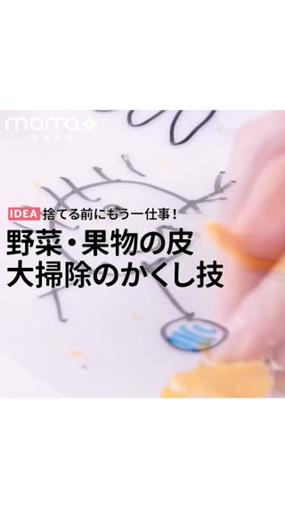 捨てる前にもう一仕事！野菜・果物の皮 大掃除のかくし技