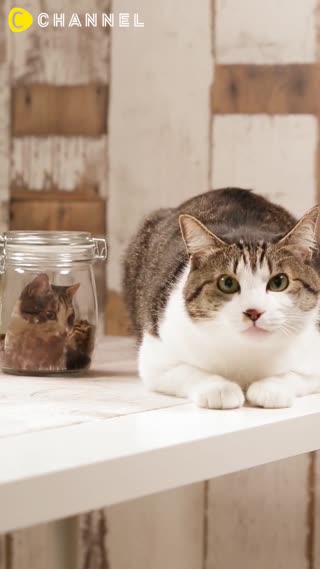 轉轉轉～喜歡的圖片都可以轉印到瓶子上喔