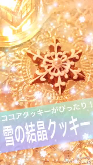 雪の結晶クッキー✧︎*。