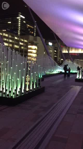 東京駅の風によって変わるイルミネーション「希望の芽」