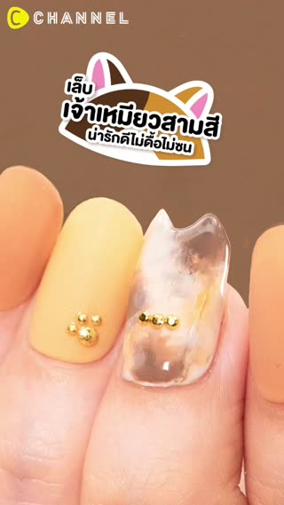 เล็บเจ้าเหมียวสามสี น่ารักดีไม่ดื้อไม่ซน