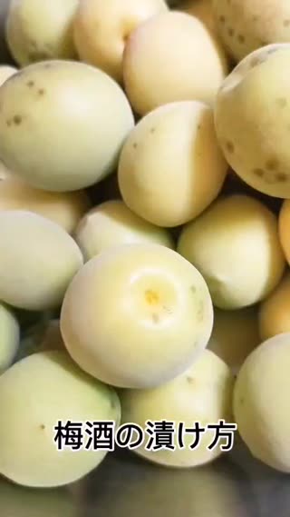梅酒の漬け方