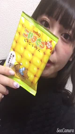 【みいログ】北海道に行ったら絶対買ってほしい、おすすめスナック土産