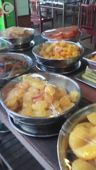 【TEMPURA KIDZ】シラチャからバンコクの途中で大量のお猿さんに遭遇！