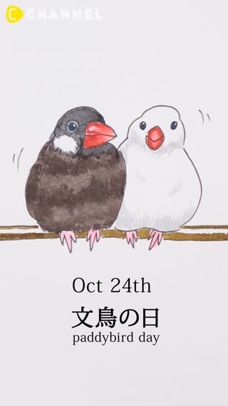 10月24日　文鳥の日