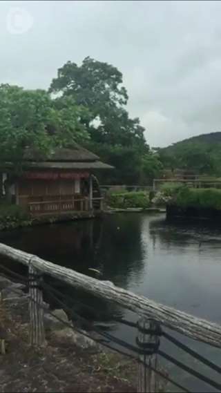 An incrediblly clear pond ！Sightseeing【O