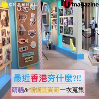最近香港夯什麼♡萌貓＆蛋黃哥一次蒐集