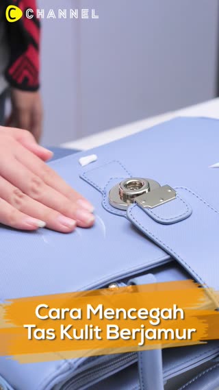Cara Mencegah Tas Kulit Tidak Berjamur