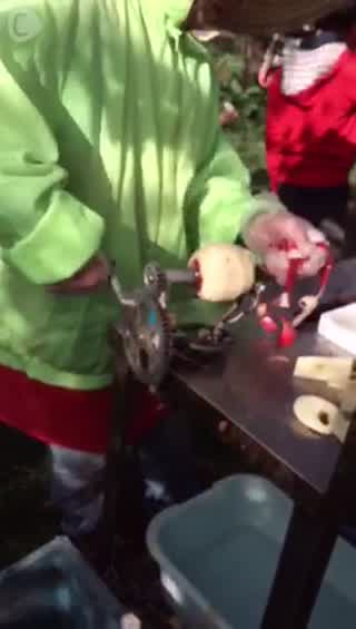 旬のリポートをお届け！宮島るりかの旅便り〜りんご狩り偏〜