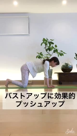 バストアップに効果的 プッシュアップ