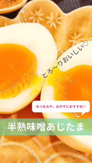 半熟 味噌あじたま