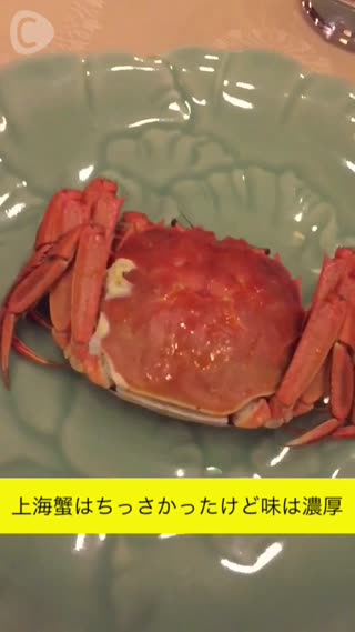 上海の外灘にある成隆行蟹王府さん！