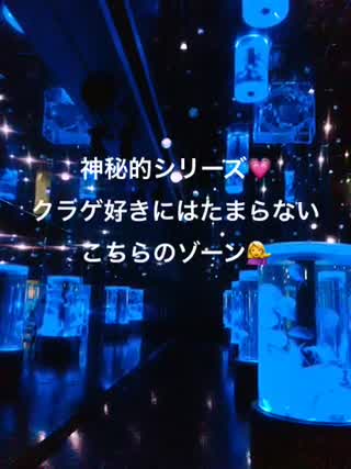 アクアパーク品川の見どころ〜神秘的シリーズ(^ ^)〜