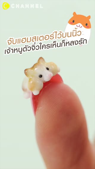 จับแฮมสเตอร์ไว้บนนิ้ว 