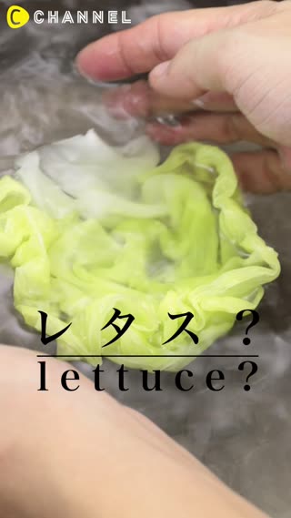 レタス？ 日本の巧みの技！食品サンプルの世界