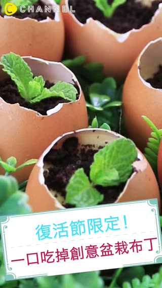 復活節限定！一口吃掉創意盆栽布丁