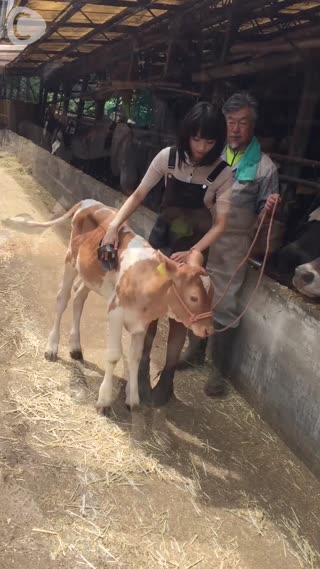 AUTUMN号第2回　ブラッシングで仲良くなれたら、一緒にお散歩するよ〜