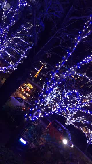 Illuminations in Midtown, Roppongi