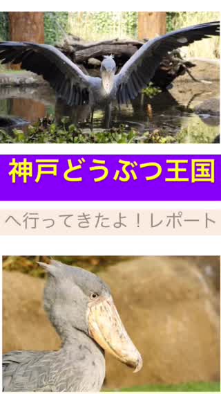 【沢山の動物達を身近に感じられる】