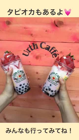 最近ホットなアースカフェをご紹介！