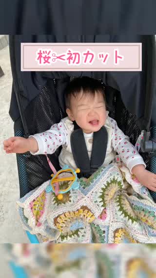 子供の髪を初カット動画
