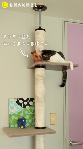 おはなと根津さん